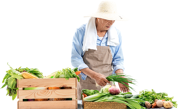 秦農網開展線上電商